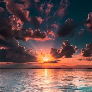 Meet your Posher, Ella